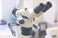 Clinical Microscope